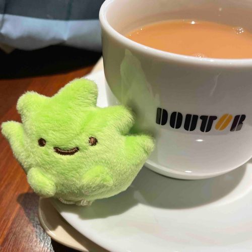 もちぬし　ざっちゃんだけつれて　おでかけして　つかれたから　いっしょにおちゃまでしてきたんやって
ずるい〜！