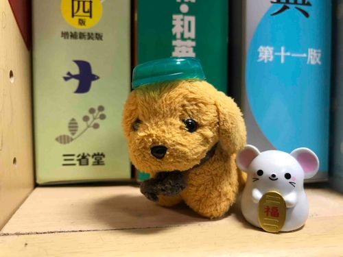 鼠年の鼠と一緒にお散歩！
