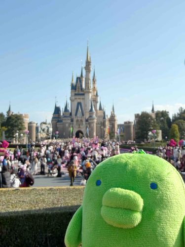 🏰(｡•ʚ•｡)🏰