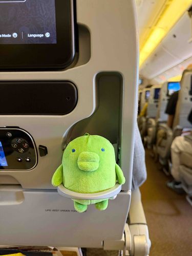 💺(｡•ʚ•｡)💺