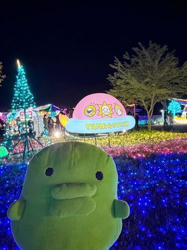 🛸(｡•ʚ•｡)🛸