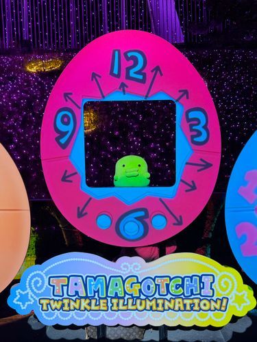 📷🥚(｡•ʚ•｡)🥚📷
