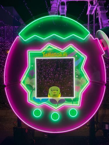 💚🩷(｡•ʚ•｡)🩷💚