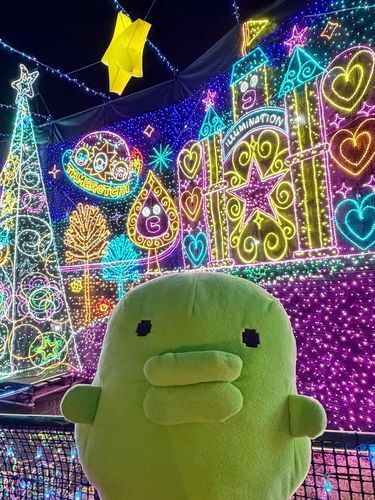 ✨✧*｡(｡•ʚ•｡)✧*｡✨