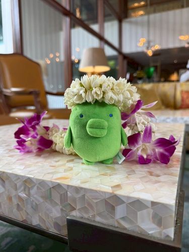 🌺(｡•ʚ•｡)🌺