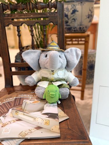 🐘(｡•ʚ•｡)🐘