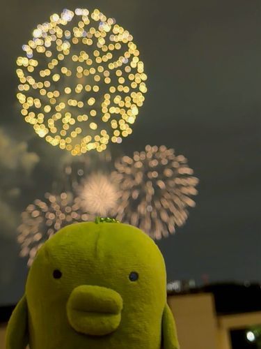 🎇(｡•ʚ•｡)🎇
