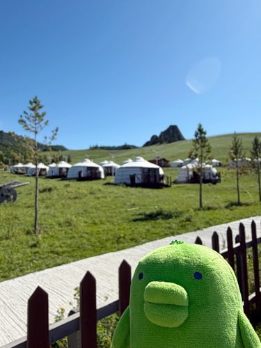 🏕️(｡•ʚ•｡)🏕️