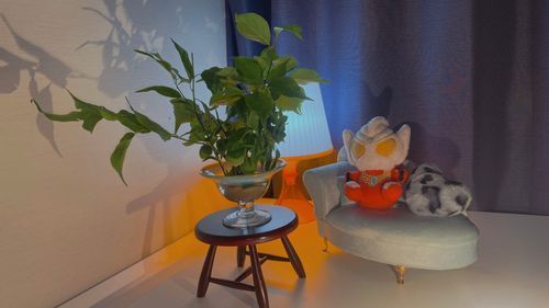 GW最終日