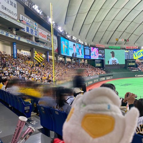 阪神ファンの熱気が凄い✨🐯