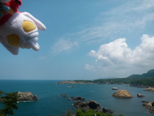 飛んできました