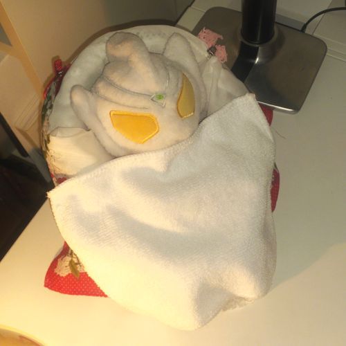 レグ「あついあついって主張したらタオルケット貰ったぜ。綿100%だぜ！（これが重要）」