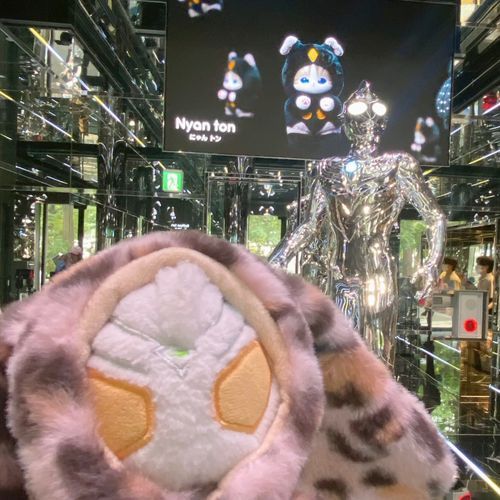 ピカピカティガさん