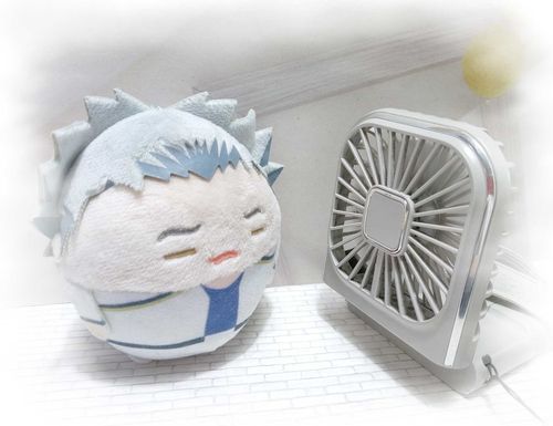 暑い……、溶ける…
