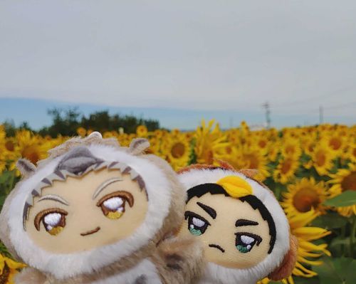 ひまわり畑！🌻
『あかーし、キレイだな！』
『黄色の絨毯ですね』