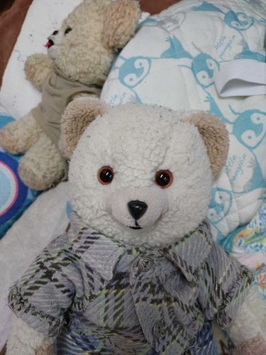 ぼくはすなたろうです！
うしろのこはどいちゃん
オフトゥンにいるよ

