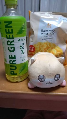 新しい仲間のコビハムチャンでちゅ💓
