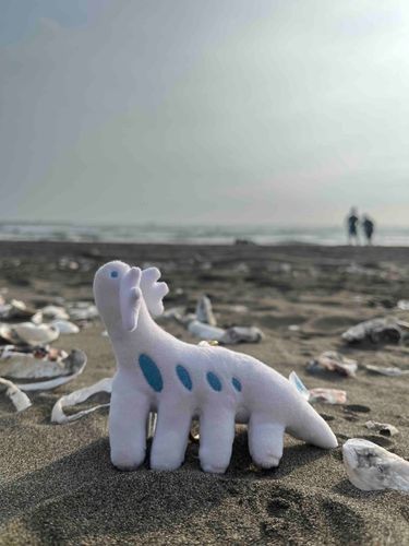 海