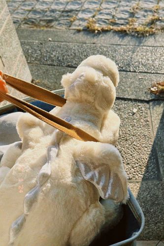 いらっしゃいませ