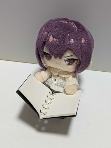 はじめての投稿
ちびたちの日常を撮っていけたらいいな