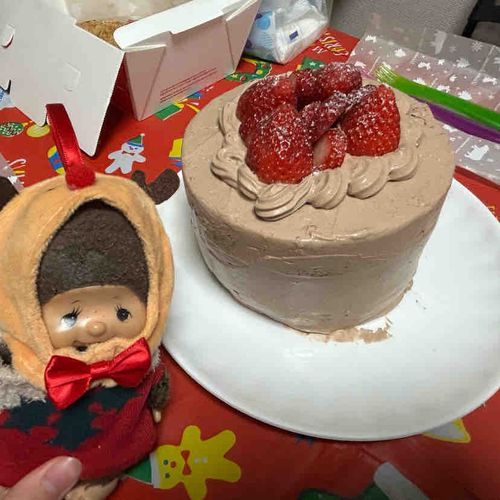 クリスマスは てづくりのケーキを たべたの♡