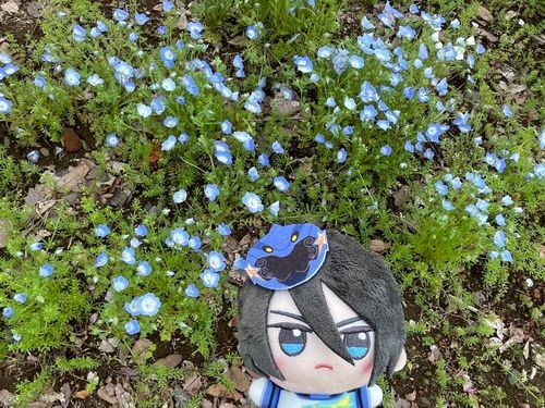 綺麗な青色だね
