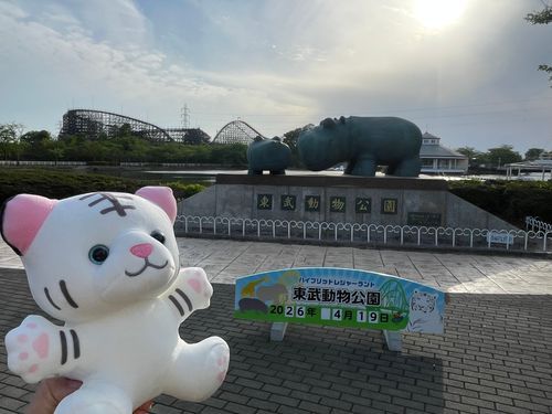ホワイトタイガーくじを引いてお迎えしました　今日からよろしくね