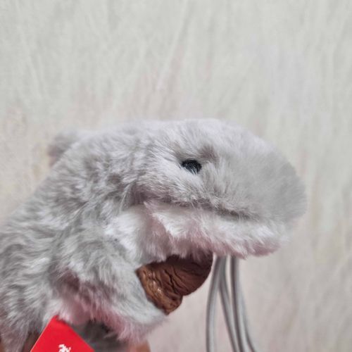 サメもアイス食べるくらい暑い