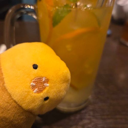 水蛇様とレモネード🍋