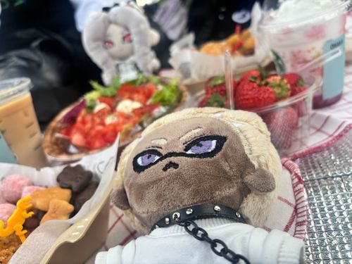 お友達とピクニック🍱