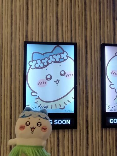 ついに映画を、観た