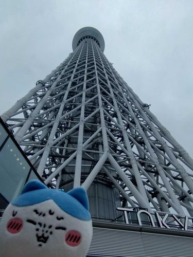 ついに、スカイツリー登ります