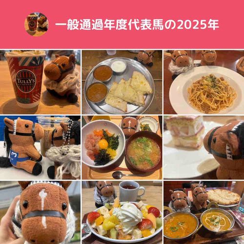 おどう、今年もありがとう。
来年も一緒に色んなところに行こうね。