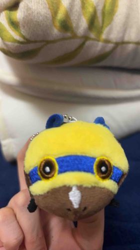 新入りの撮影を手伝ったﾄﾞ