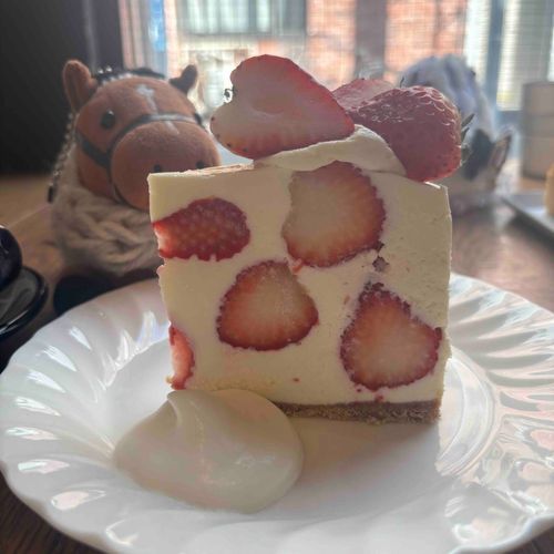 大きいレアチーズケーキだﾄﾞ
いちごも入っていて美味しかったﾄﾞ