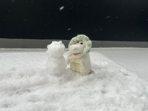 今年の雪が降った時の写真！ワーリーちゃま