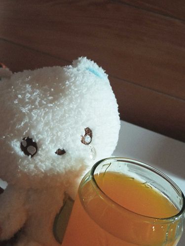 ｵﾚﾝｼﾞｼﾞｭｰｽ ﾄﾞｰｿﾞ🍹