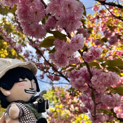 おはなのしゃしん とるの だいすきやねん