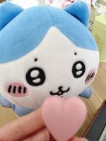 ぷみのねこ