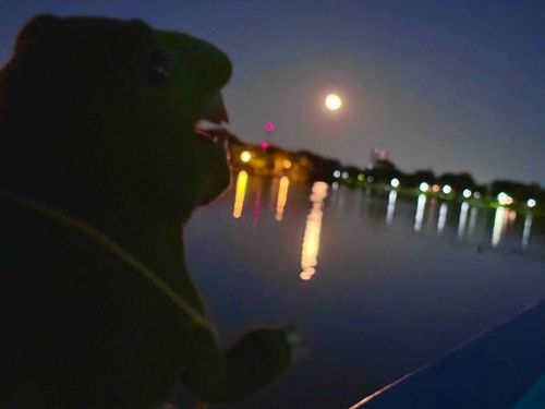 昔のだけど、好きな写真。