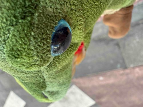 知らぬ間にカメラロールにあった写真。