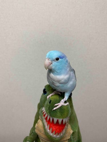 もう1年経ったんだなぁ