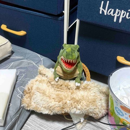 ごめんねもう朝だよね。寝ようね。