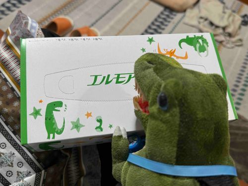 母から恐竜柄だからという理由でティッシュを一箱貰いました。
何歳だと思われてるのかな☺️
ピーマンは喜んでました。ありがとう！
(飼い主も内心とても喜んでおります)