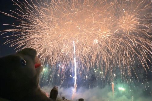 連射してたので前回投稿した凄まじく失敗した花火のなんとか撮れてたバージョンも見てほしい✺⋆*