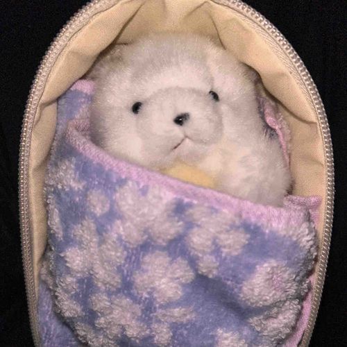 ぼく専用の 寝床を つくってくれたの。
主の となりで おやすみなさい💭‏
