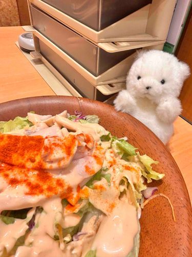 今日は 主と サイゼリヤに いってきたの。
サラダが おいしかったんだ。