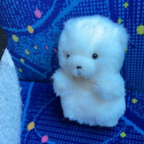 おでかけに行ってきます♪