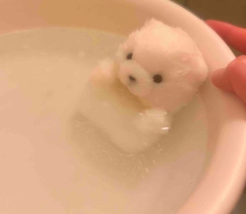 あったかい おふろ🛁*。