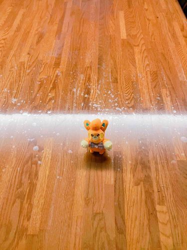 ちびパモです…！ちっちゃいお写真撮れたので、なんとなくちっちゃいお声でお話ししてます…！
特に意味はないです…！